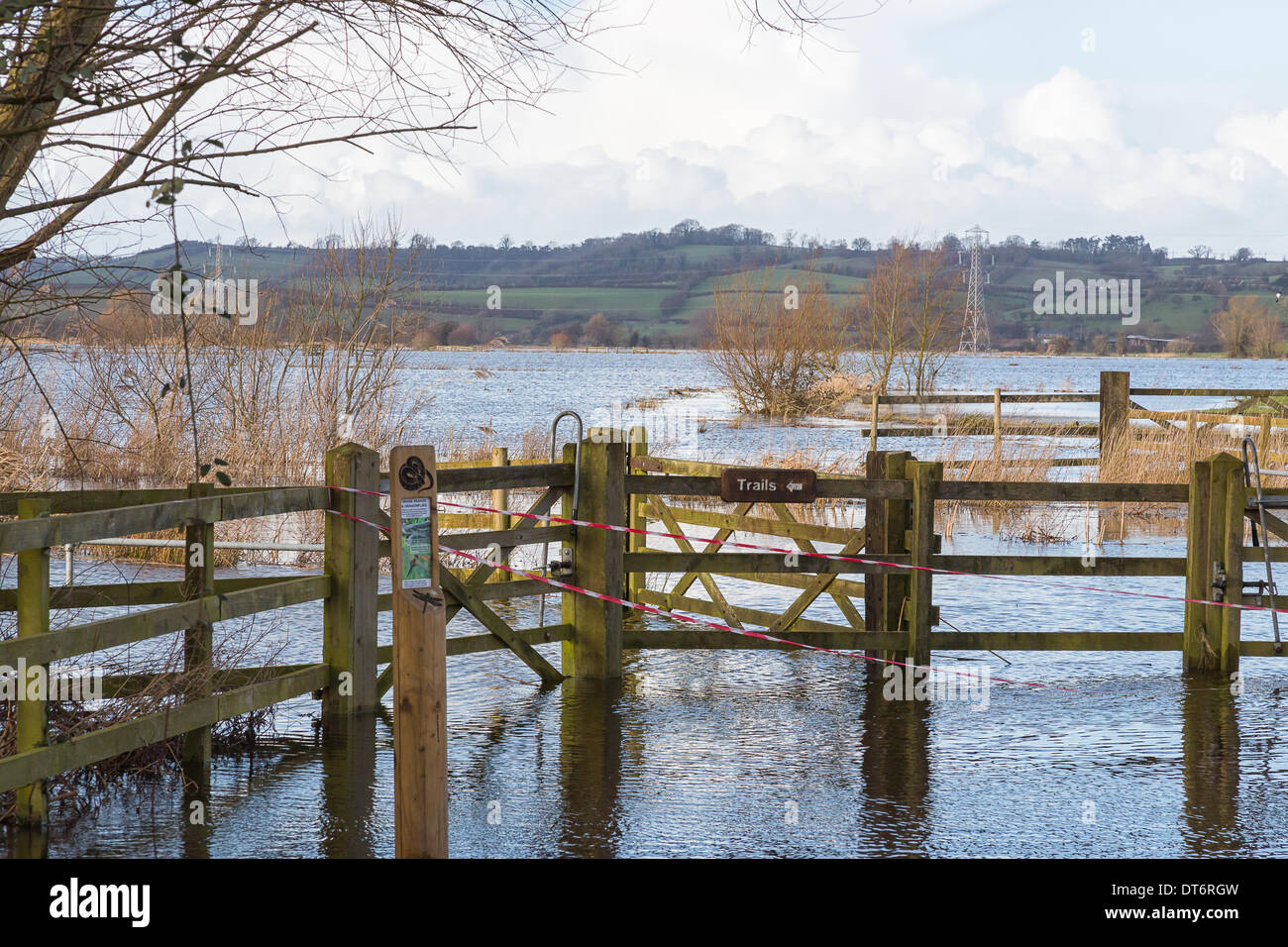 RSPB reserve, Greylake, Somerset, United Kingdom on 9th Feb 2014 at 15:56 hrs.  Flooding on the Somerset levels, leaves RSPB Greylake reserve submerged and closed to visitors. Credit:  Living Levels Photography/Alamy Live News Stock Photo