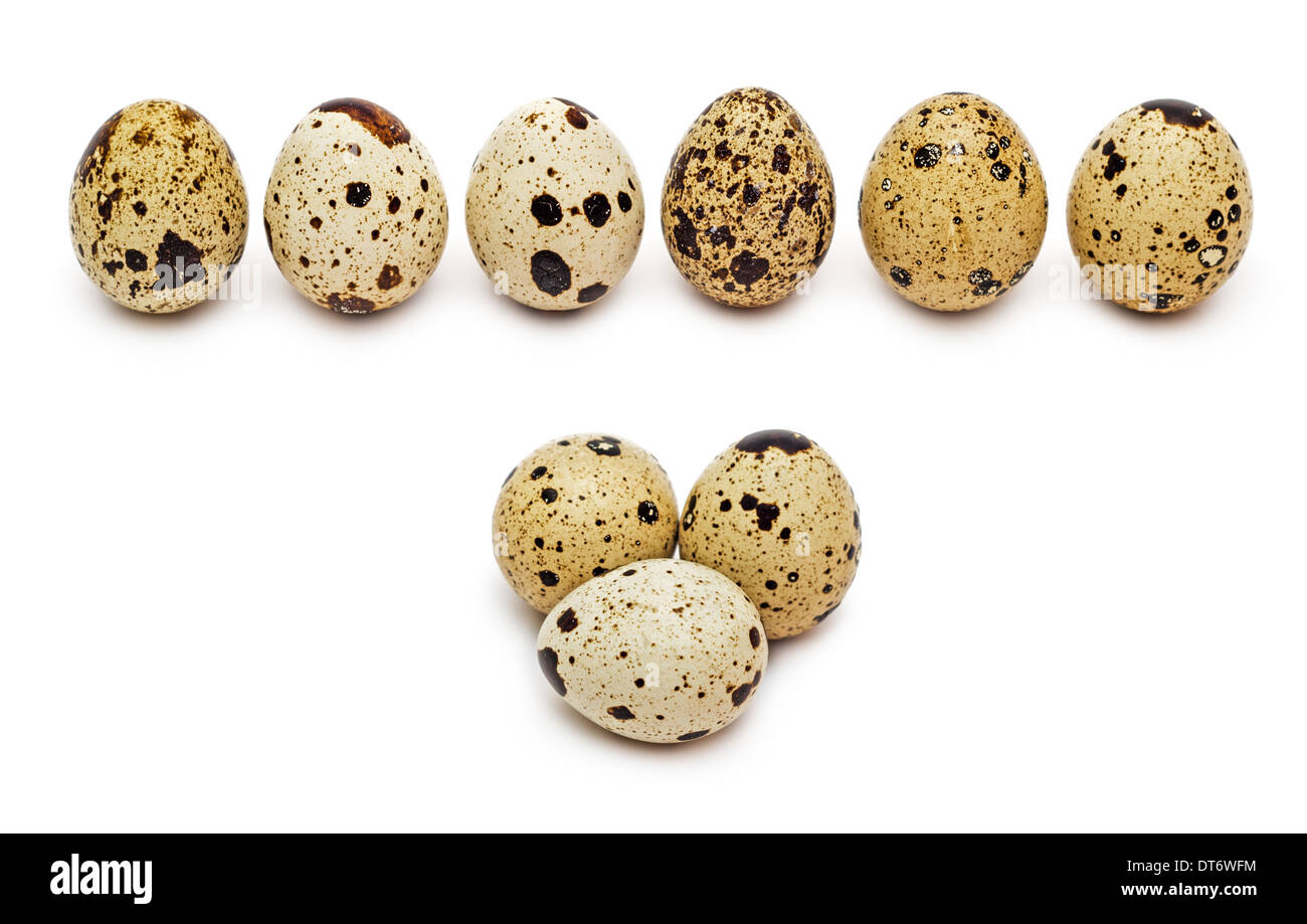 Raw quail eggs isolated on white background Stock Photo Alamy