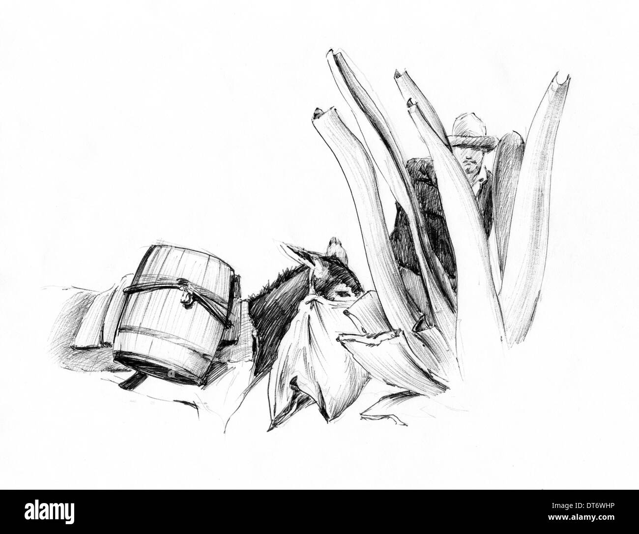 Illustration made in ink of a Mexican peasant extracting pulque. Traditional beverage. Stock Photo