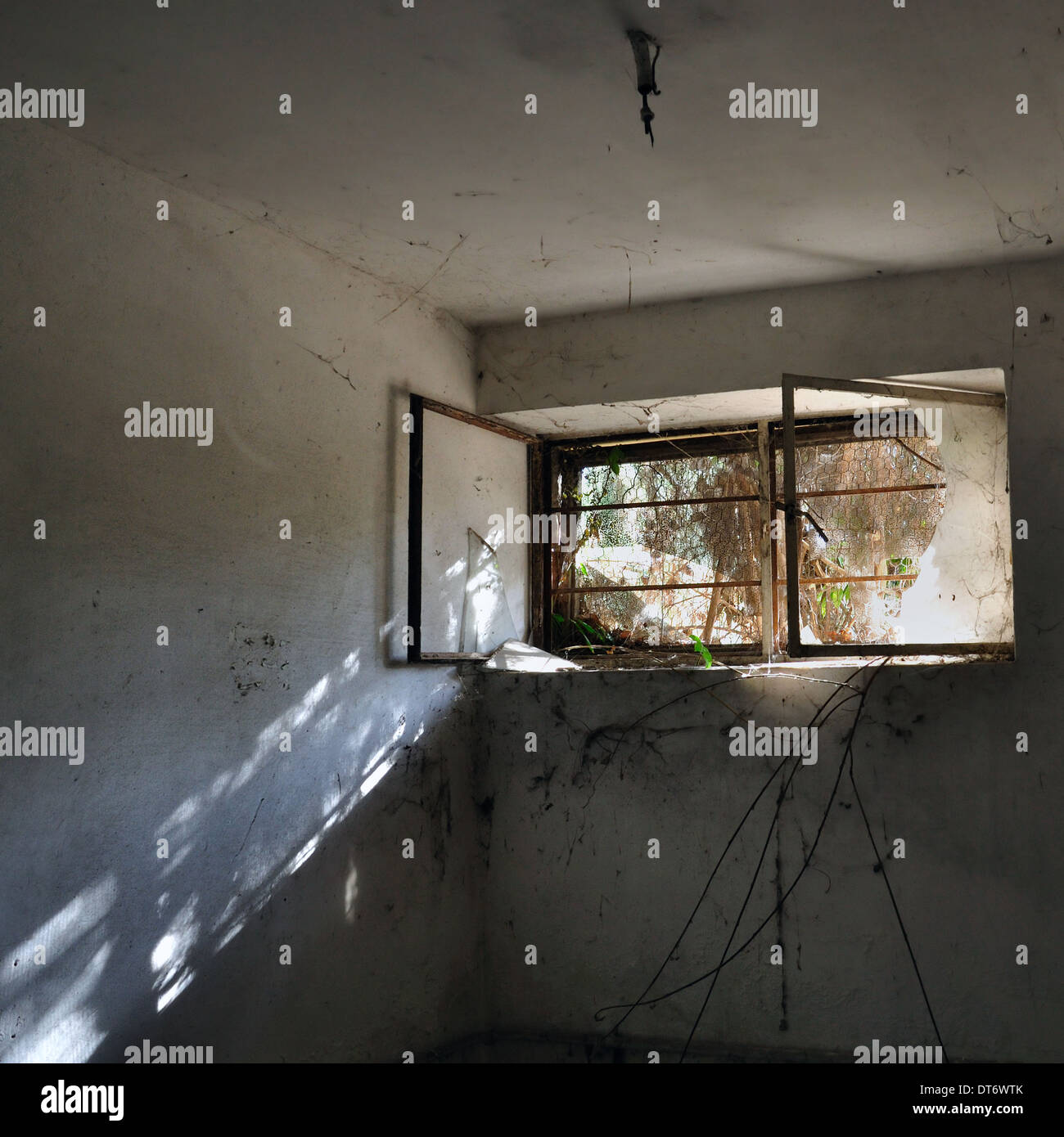 Sunlight reflection in dark room and branches creeping through broken ...