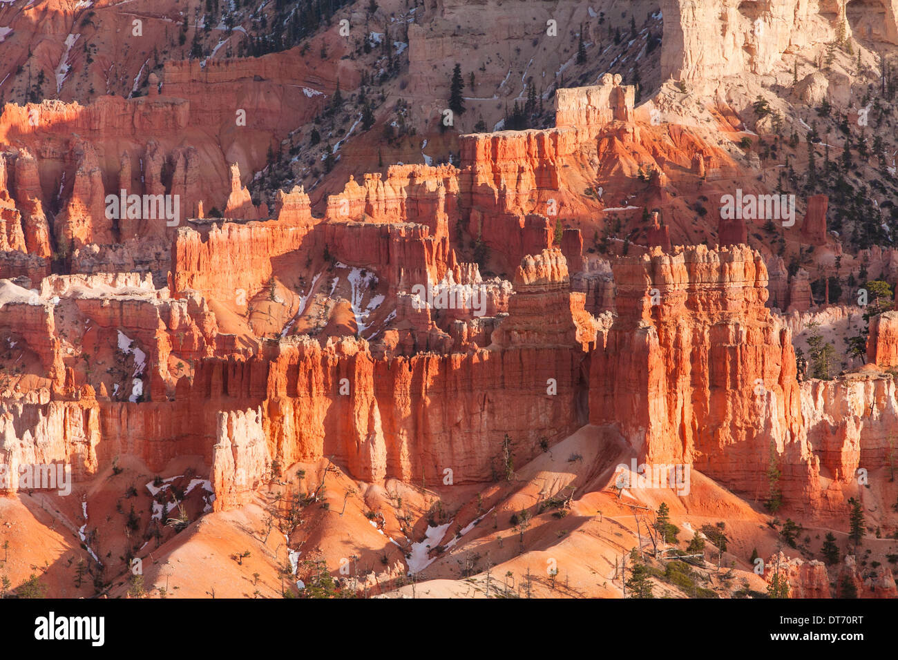 The Cathedral at sunset in Bryce Canyon National Park, Utah. Stock Photo