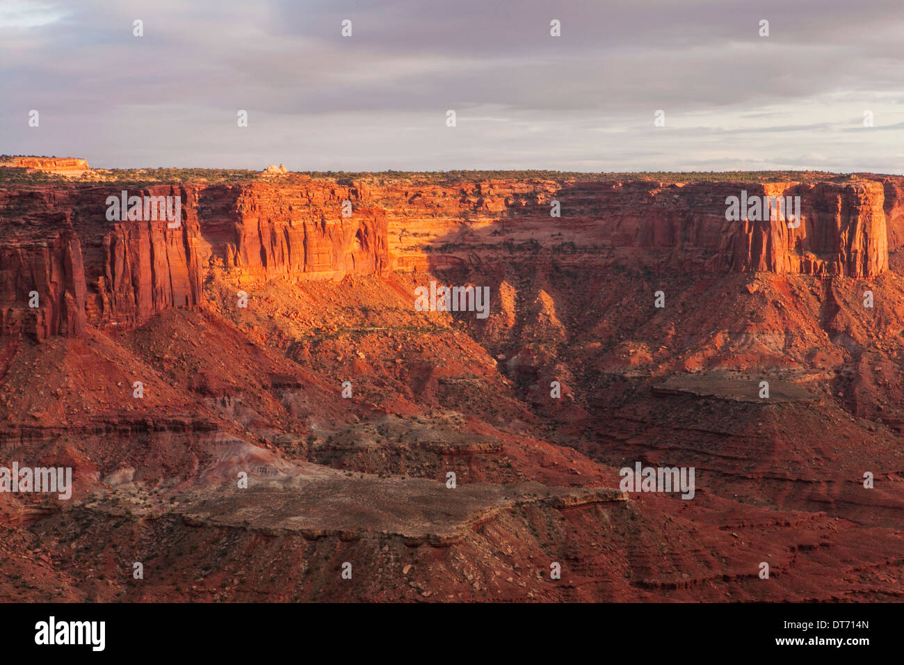 Murphy Point and Soda Springs Basin from the Green River Viewpoint in Canyonlands National Park, Utah. Stock Photo