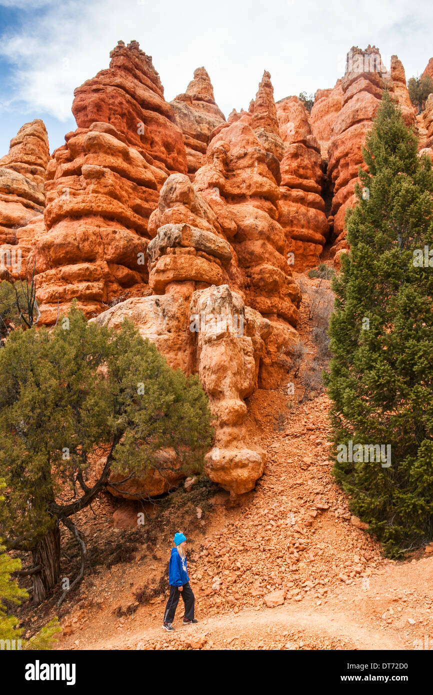 A hiker ascends the Pink Ledge Tail in Red Canyon, Dixie National Forest, Utah. Stock Photo