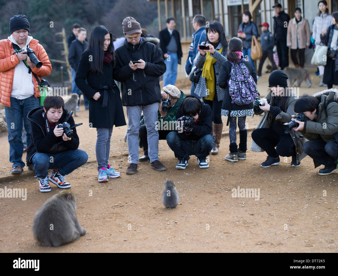 Arashiyama Monkey Park Iwatayama , Arashiyama , Kyoto Stock Photo Alamy