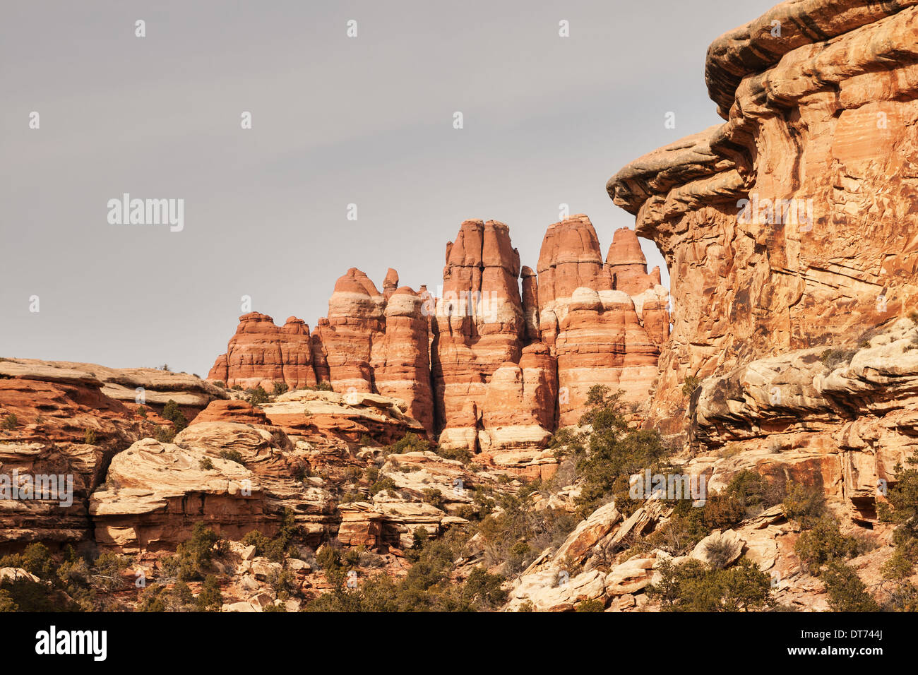 sandstone formations with towers and cliffs in Canyonlands National Park in Utah Stock Photo