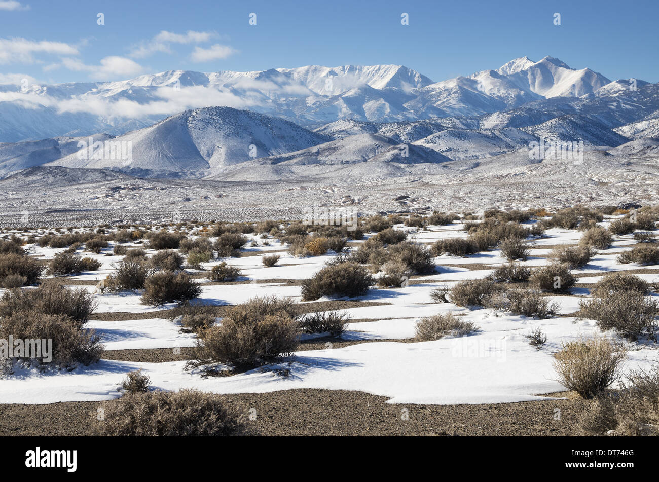 winter in the desert of Fish Lake Valley of western Nevada with the White Mountains covered in snow Stock Photo