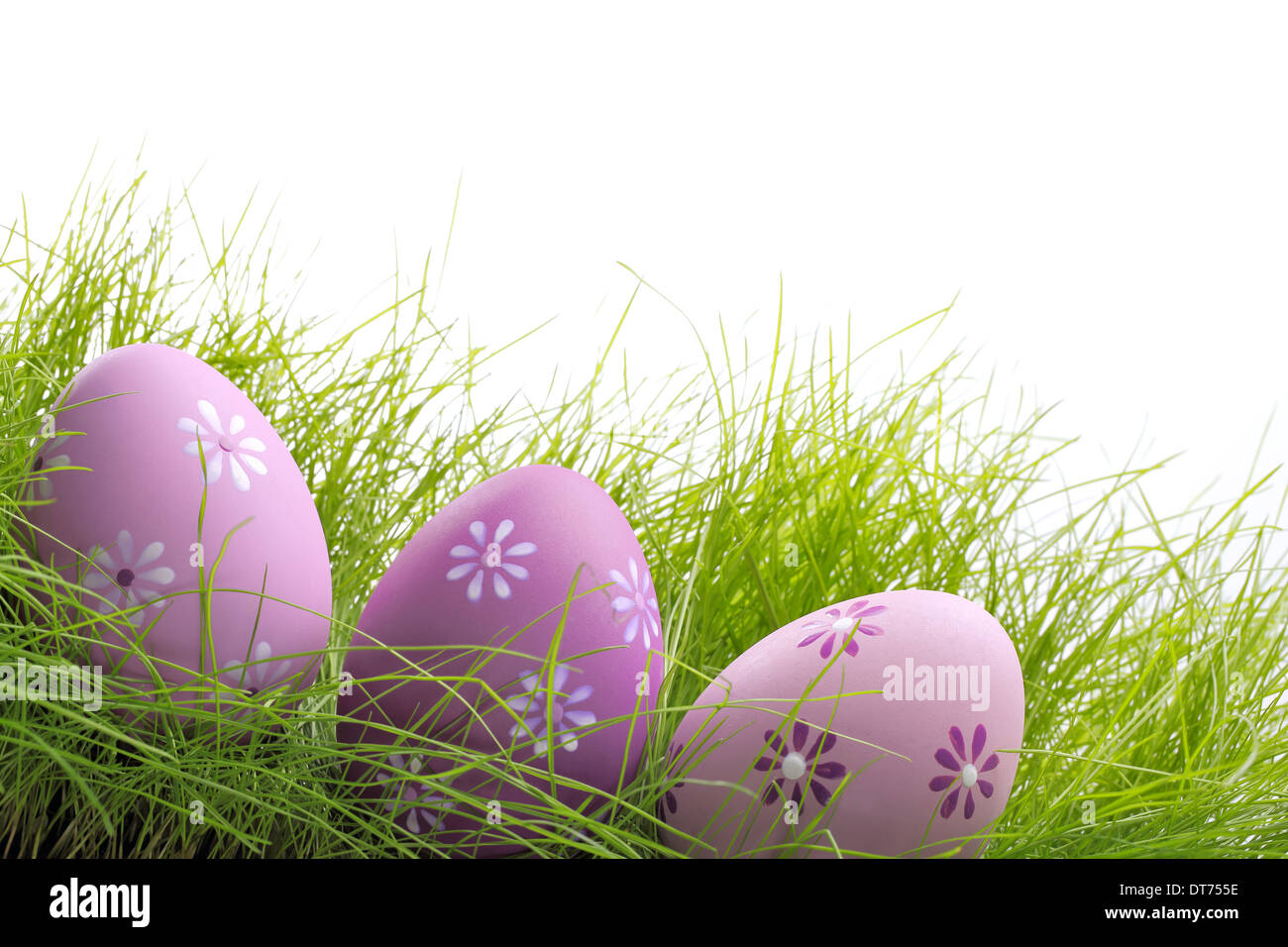 Easter eggs in Fresh Green Grass Stock Photo - Alamy
