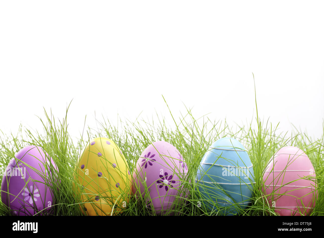 Row of Easter eggs in Fresh Green Grass Stock Photo