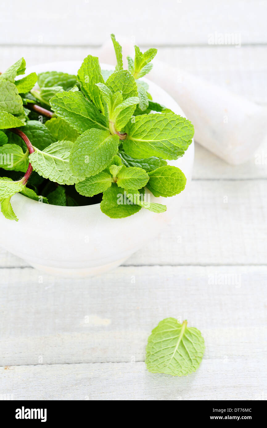 fresh mint in white mortar, herb Stock Photo