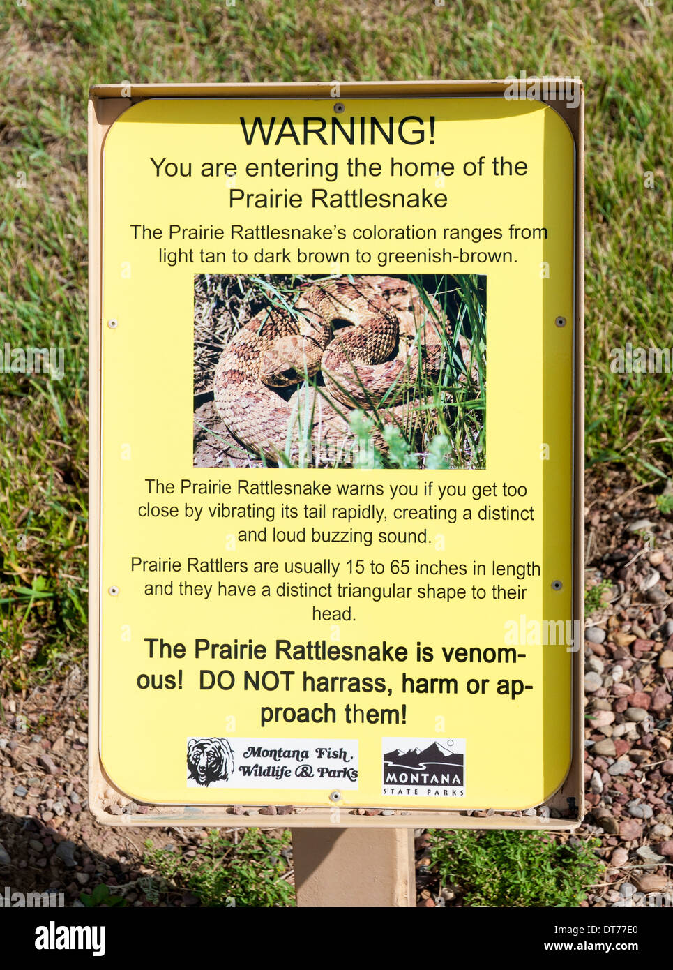 Montana, Ulm, First Peoples Buffalo Jump State Park, Prairie ...