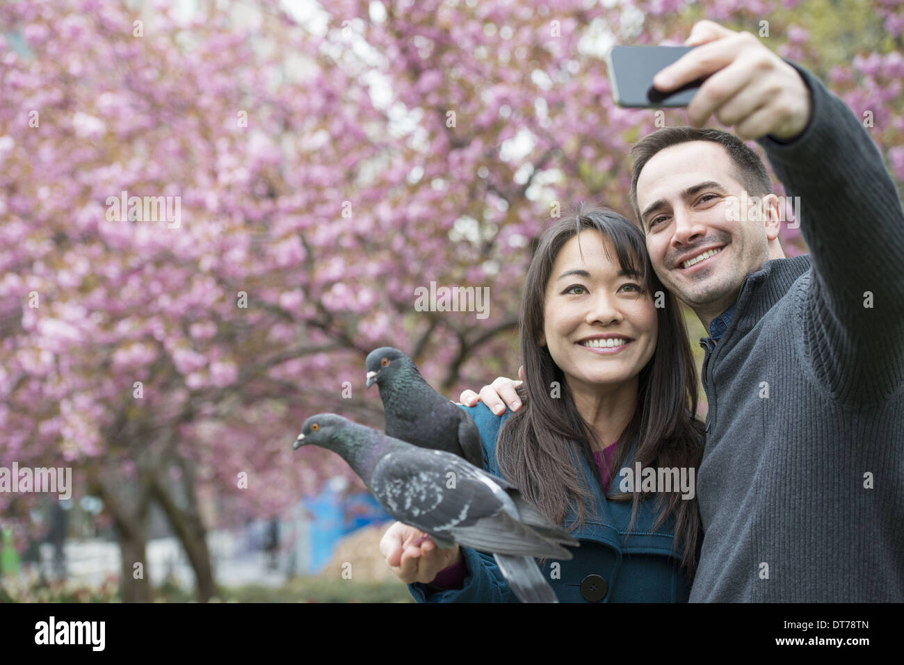 A couple, a man and woman, in the park, taking a selfy, self portrait with a mobile phone. Two pigeons perched on her wrist. Stock Photo