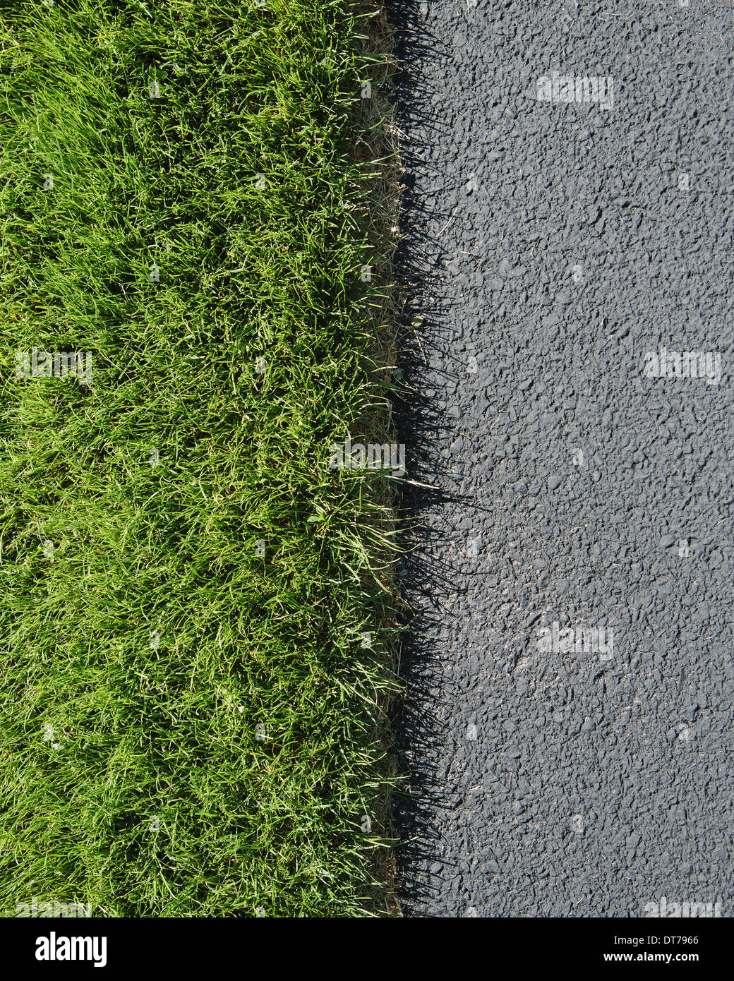 Detail of lush, green grass and sidewalk, near Quincy Stock Photo
