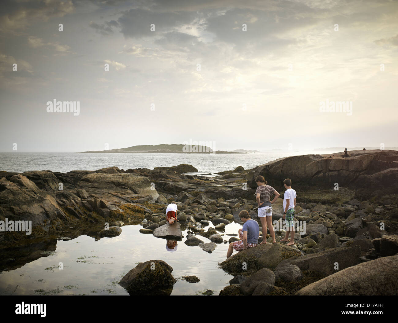 A group of people on the shore rock pooling and exploring the marine life View to an island offshore USA Stock Photo