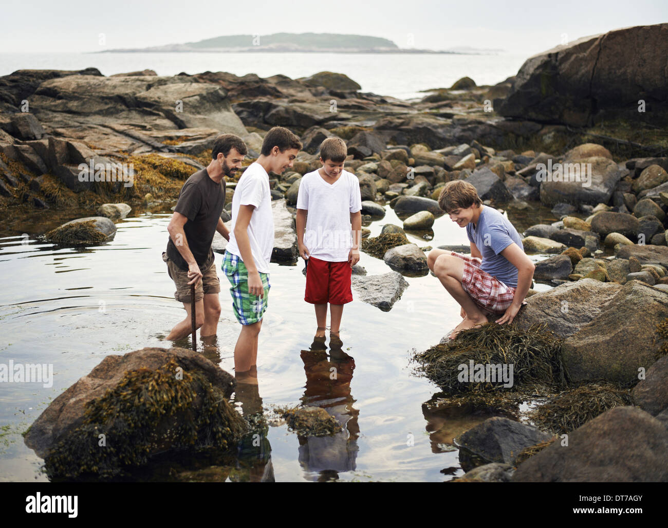 A small group of people standing in shallow water rock pooling finding marine life on the beach USA Stock Photo