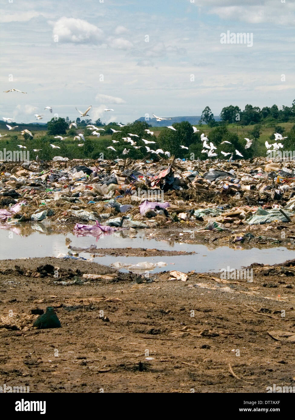 waste management dumping refuge litter landfill Stock Photo Alamy