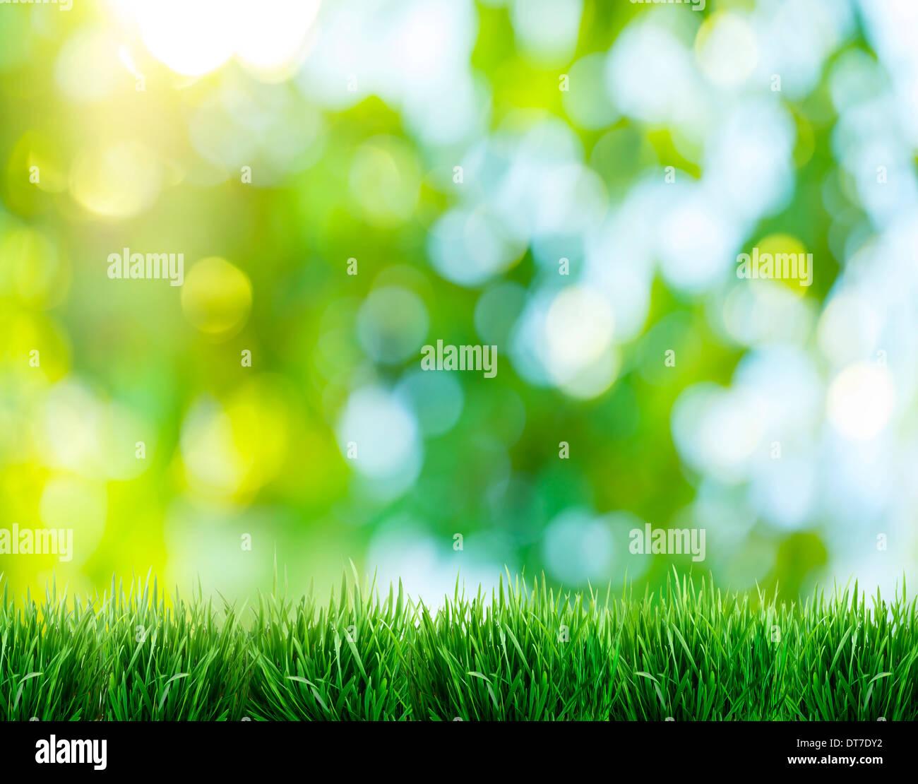 Blurred nature background. In foreground the green grass. Stock Photo