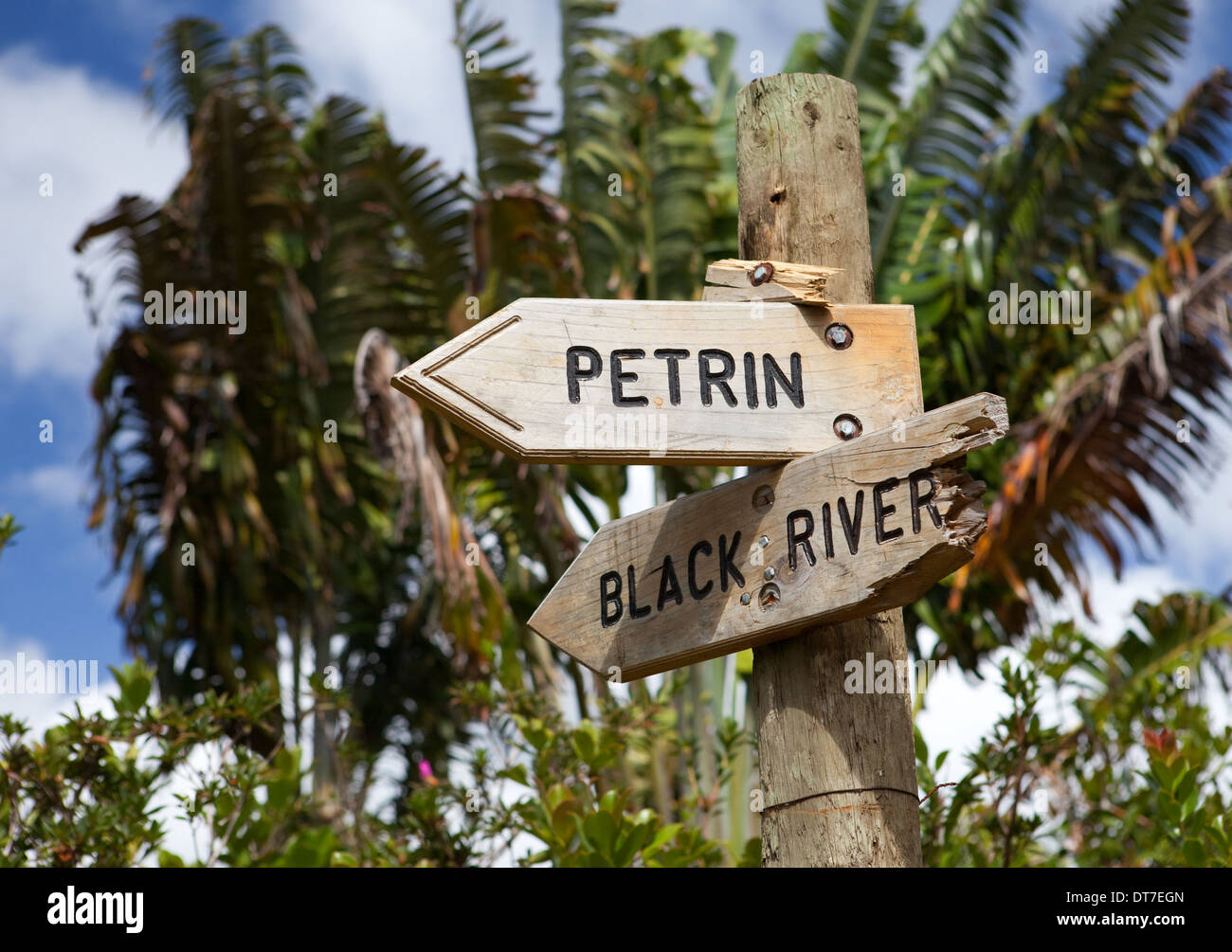 Direction indicator on the road in the wood. Mauritius. Stock Photo