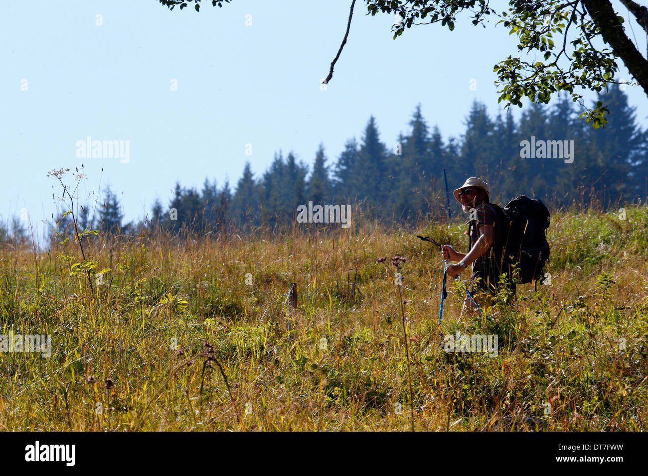 Hiking in the Alps. Stock Photo