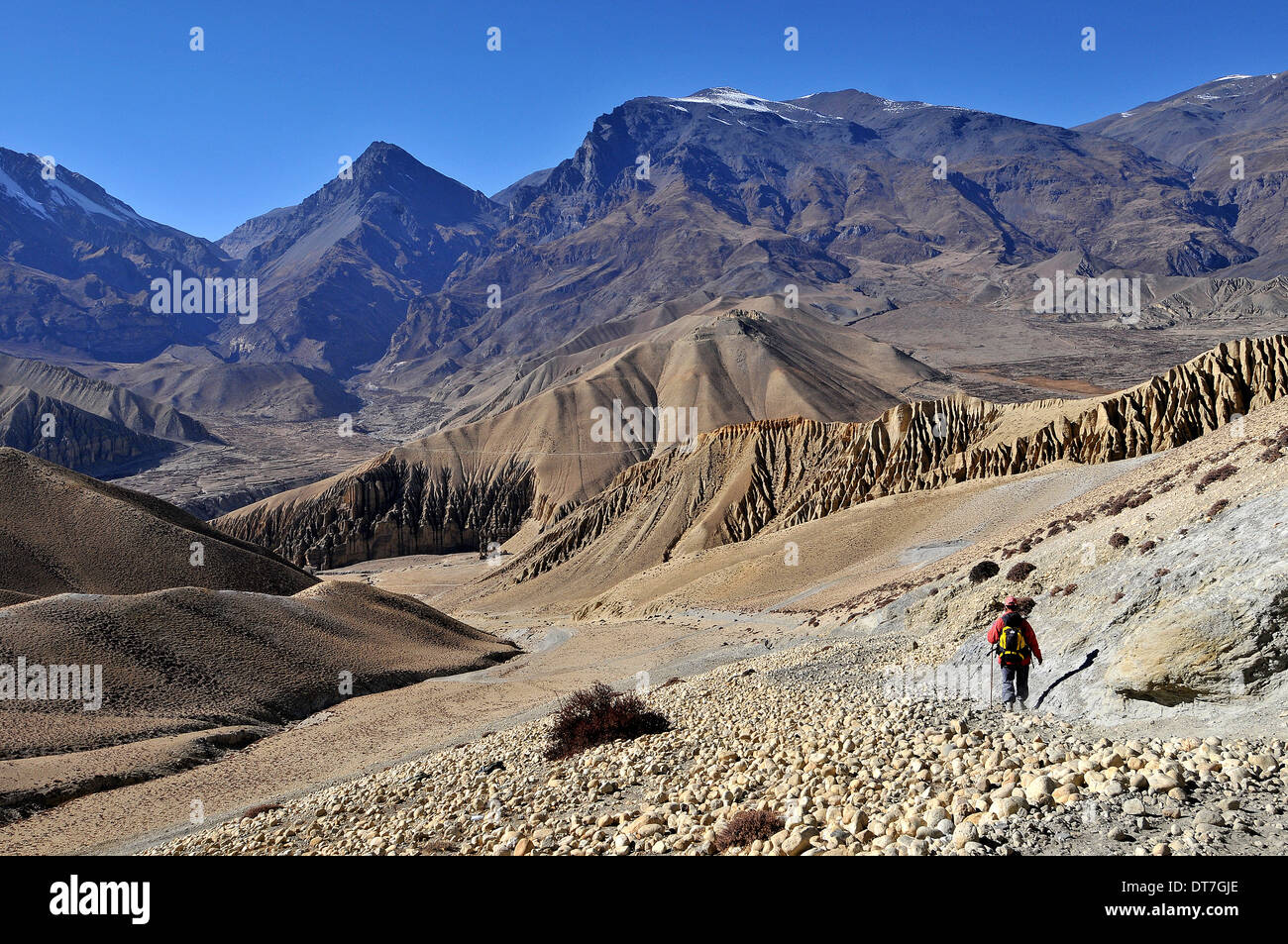 Trekker in Mustang Stock Photo