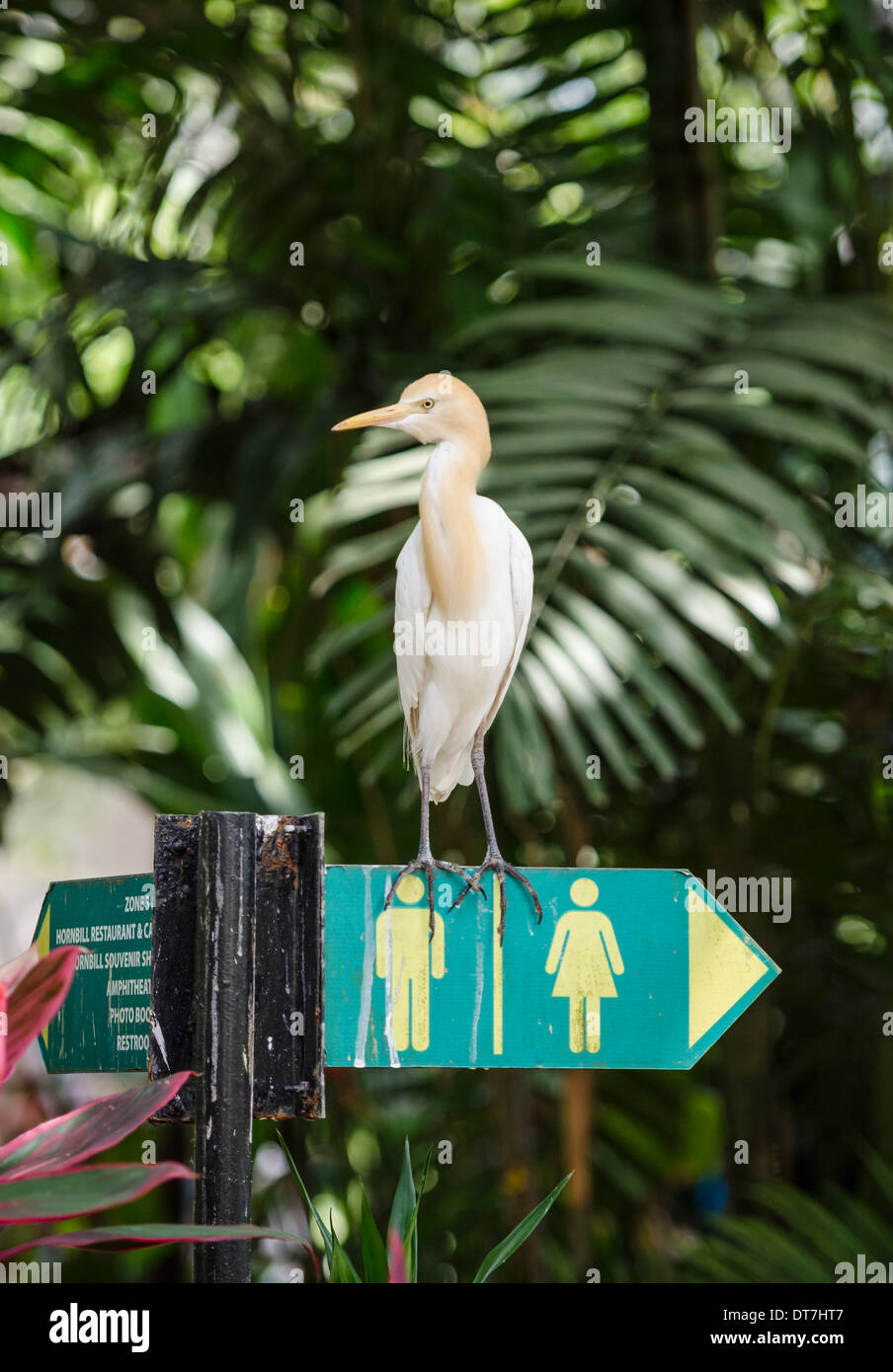 Kuala Lumpur Bird Park Stock Photo