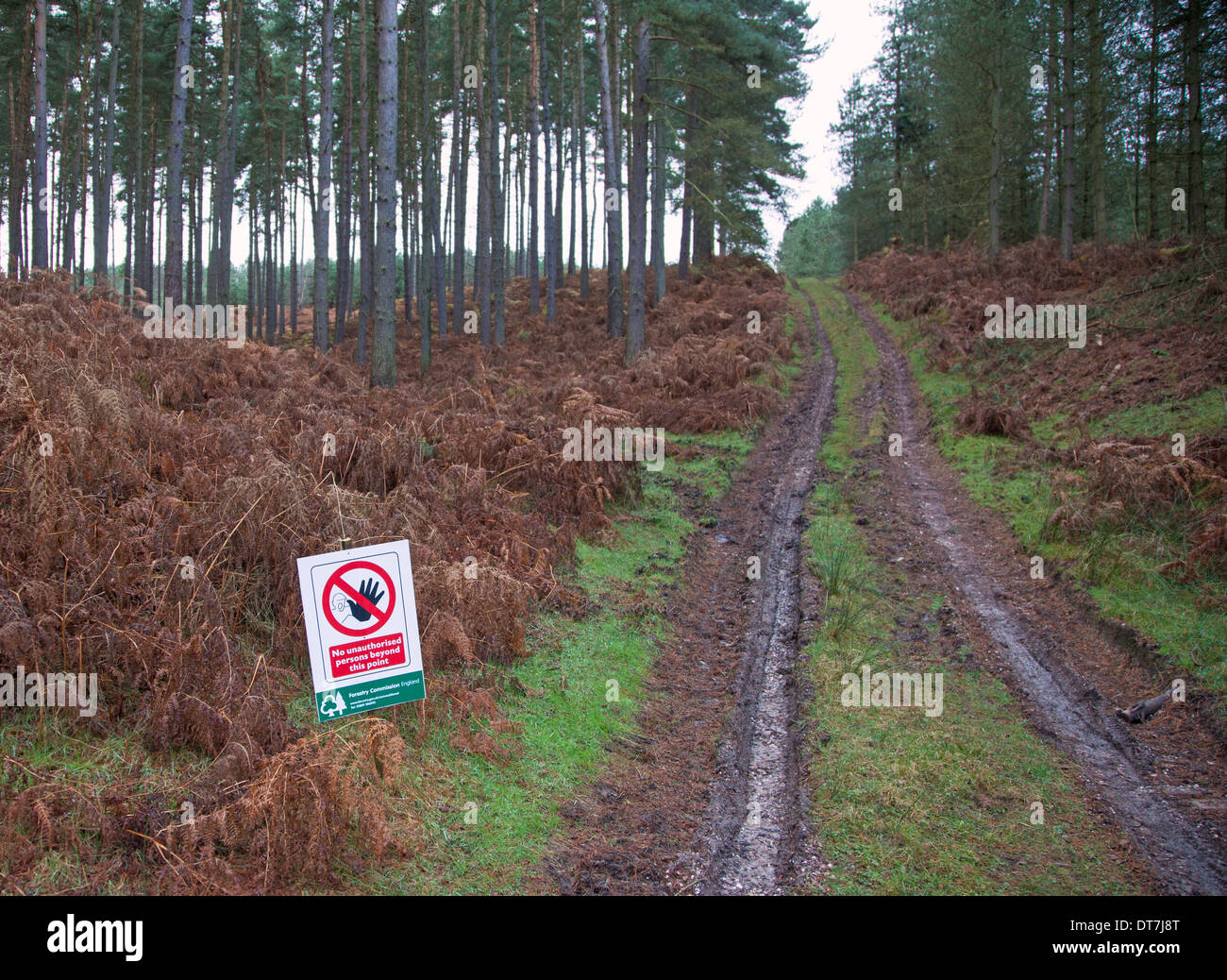 A sign at Sherbrook Valley saying no unauthorised access at Cannock Chase Stafford Staffordshire England UK Stock Photo