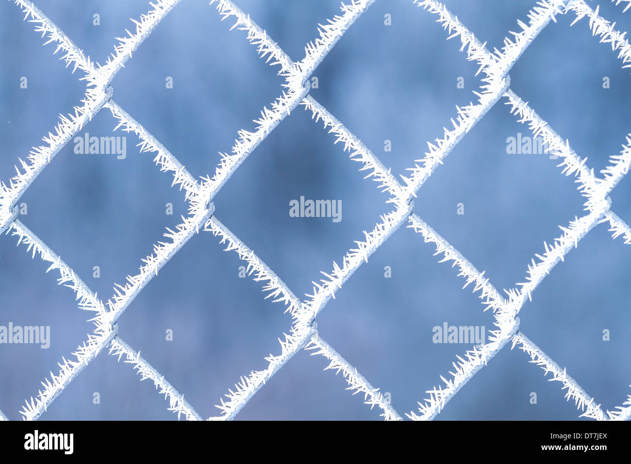 Grid photo the Chain-link covered with hoarfrost Stock Photo