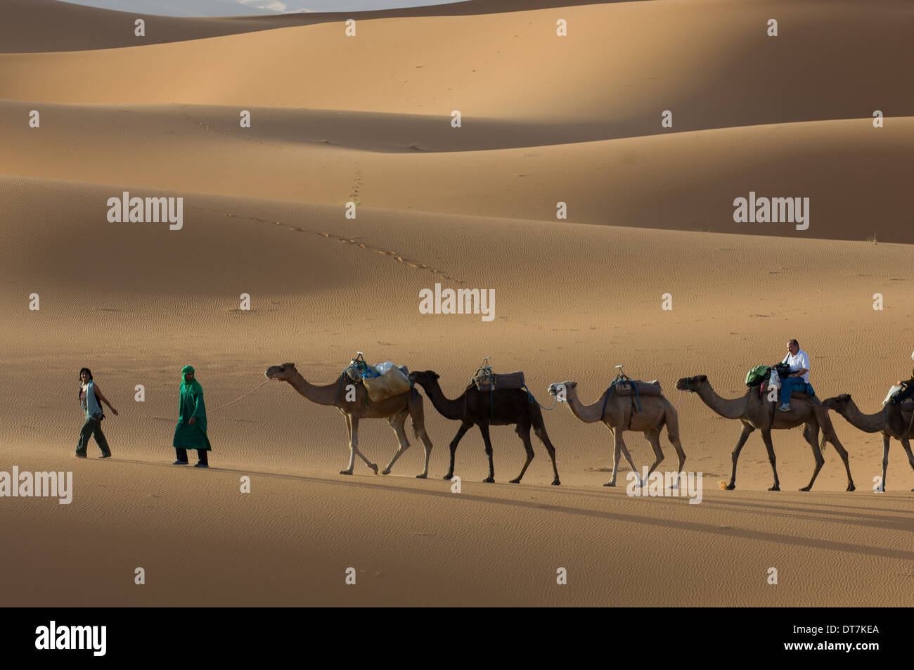 Tourist camel train passing through the sand dunes of the Sahara Desert at Erg Chebbi, Merzouga, Morocco Stock Photo