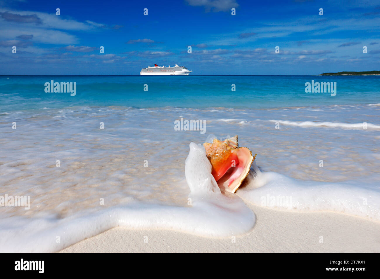 Sea water splash queen conch shell on the sand beach and cruise line ship on the horizon. Stock Photo