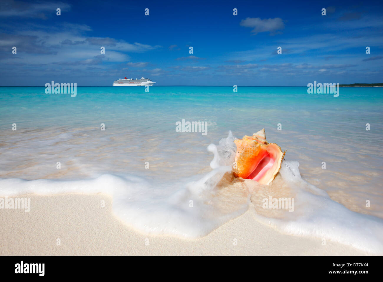 Caribbean sand beach with queen conch shell in front and cruise line ship on the horizon. Stock Photo
