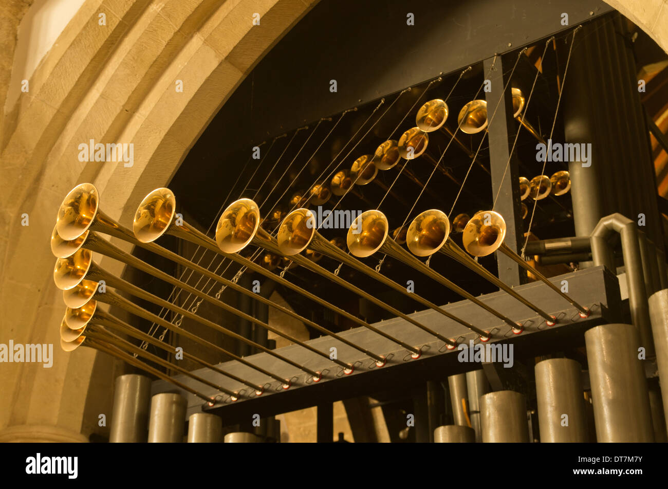 Trumpet 2024 and organ