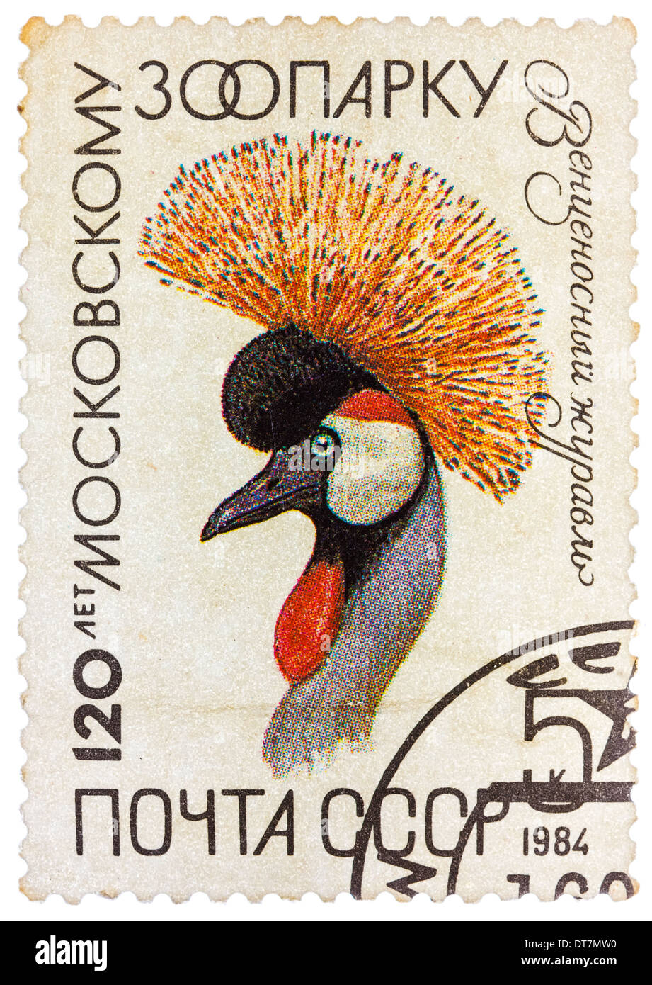 postal stamp printed in USSR shows Balearica pavonina, crane, shadoof Stock Photo