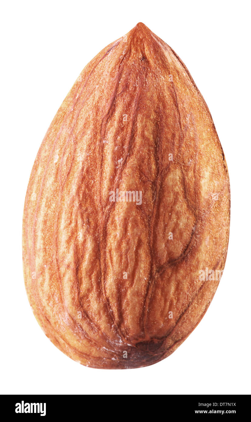 Almond nut isolated on a white background. Clipping path. Stock Photo