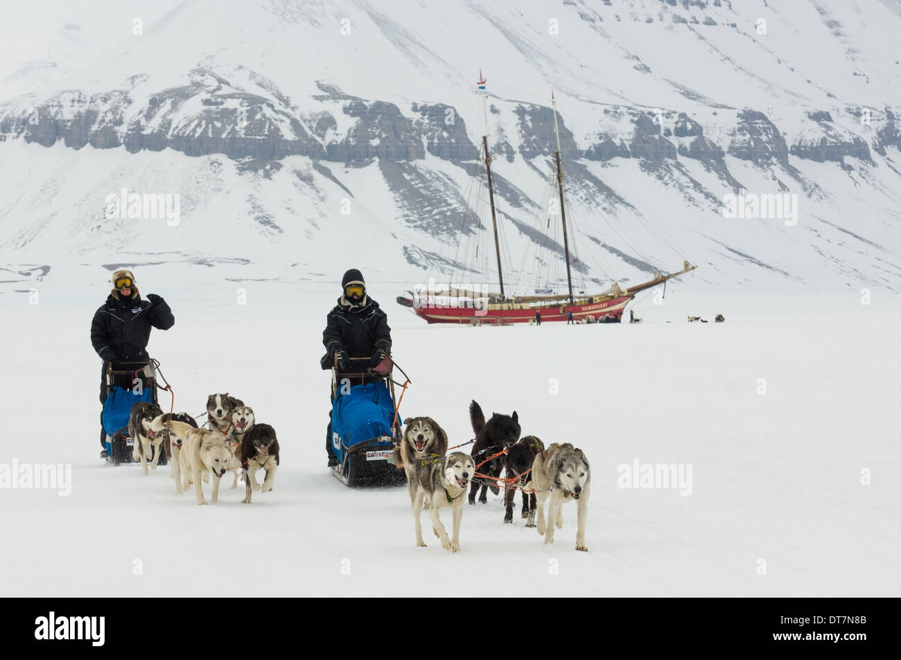 Dog sled teams racing away from the Noorderlicht 'Ship in the Ice', Temple Fjord (Tempelfjorden), Spitsbergen, Svalbard Archipelago, Norway Stock Photo