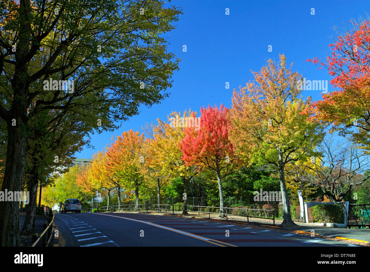 Autumn scene in Tama New Town residential area Tokyo Japan Stock Photo