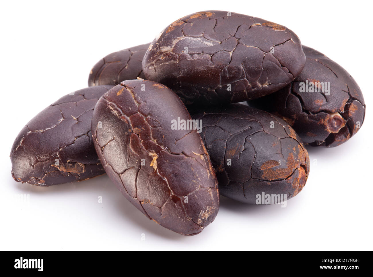 Cocoa beans on a white background. Stock Photo