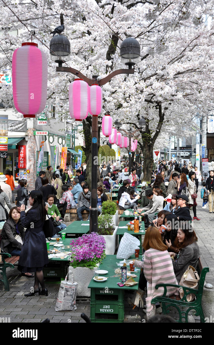 Hanami picnic, traditional picnic under the blossoming cherry trees (sakura) - Tokyo Japan Stock Photo