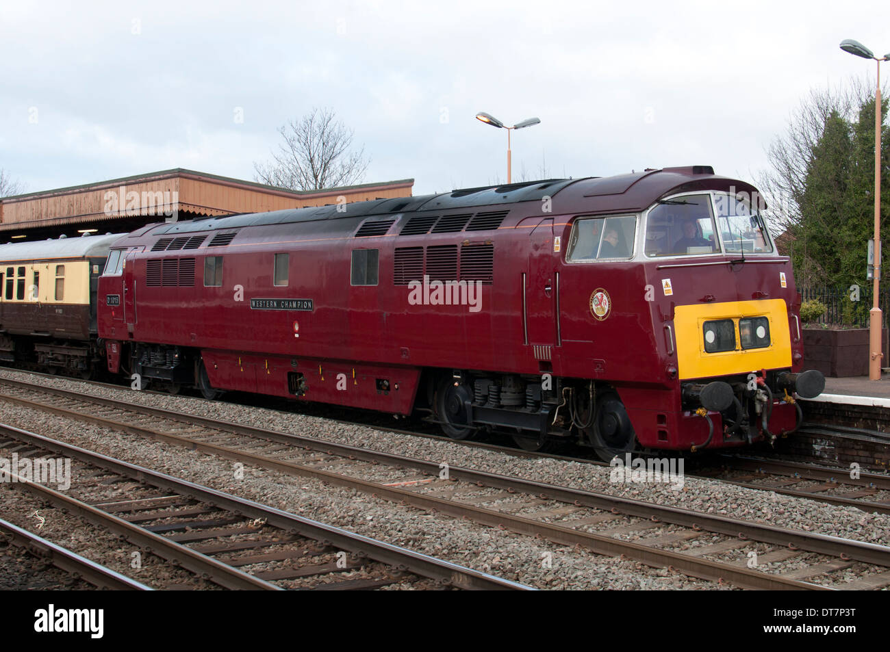 Preserved class 52 diesel locomotive No D1015 "Western Champion" at Leamington Spa, UK Stock Photo