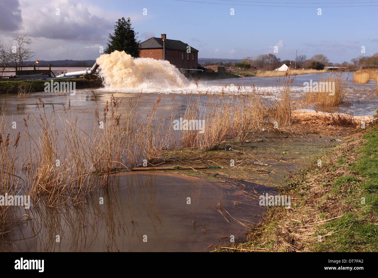 Burrowbridge, Somerset Levels, UK 11th February 2014. The Saltmoor