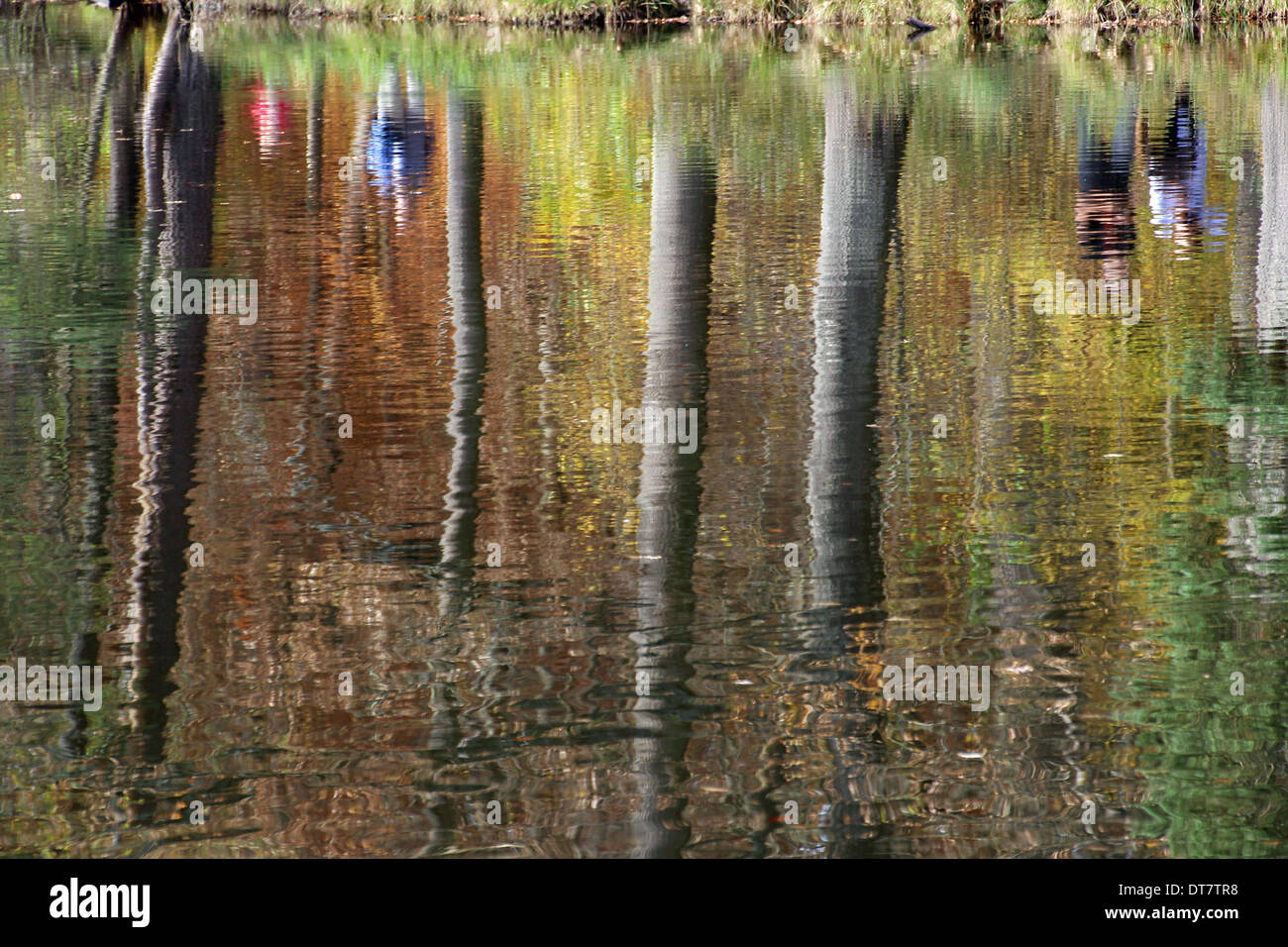 People taking a walk at lake Baerensee in the near of Stuttgart ...