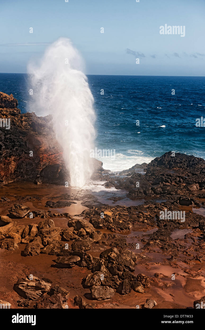The Pacific Ocean erupts out of the volcanic formed Nakalele Blowhole on Hawaii’s island of Maui. Stock Photo