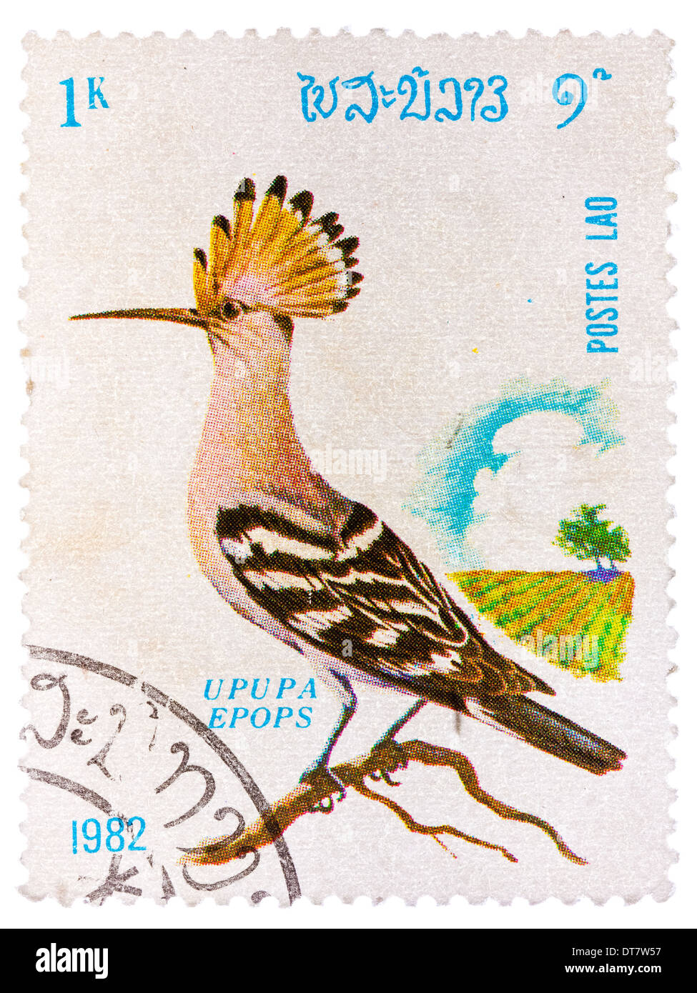 LAOS - CIRCA 1982: A stamp printed in LAOS shows Hoopoe (Upupa epops), from series Birds, circa 1982 Stock Photo