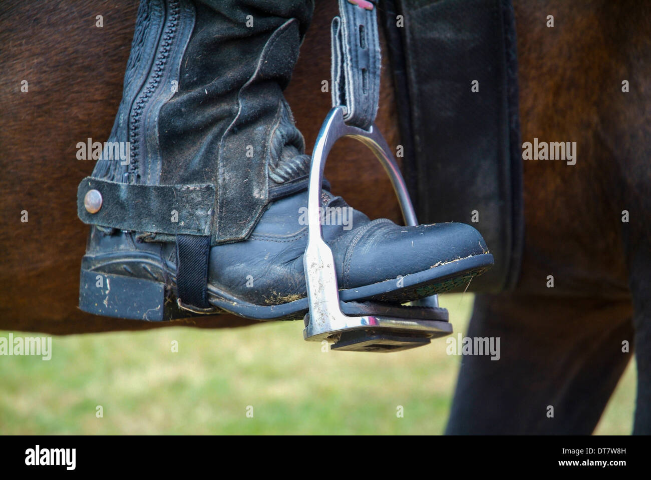 Stirrups hi-res stock photography and images - Alamy