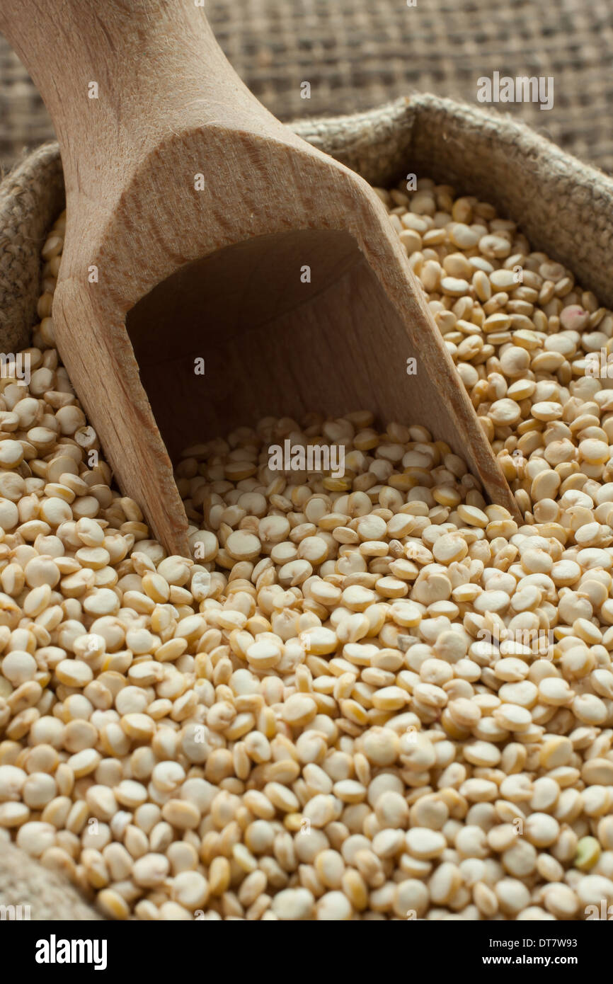 Healthy quinoa - gluten free seeds Stock Photo