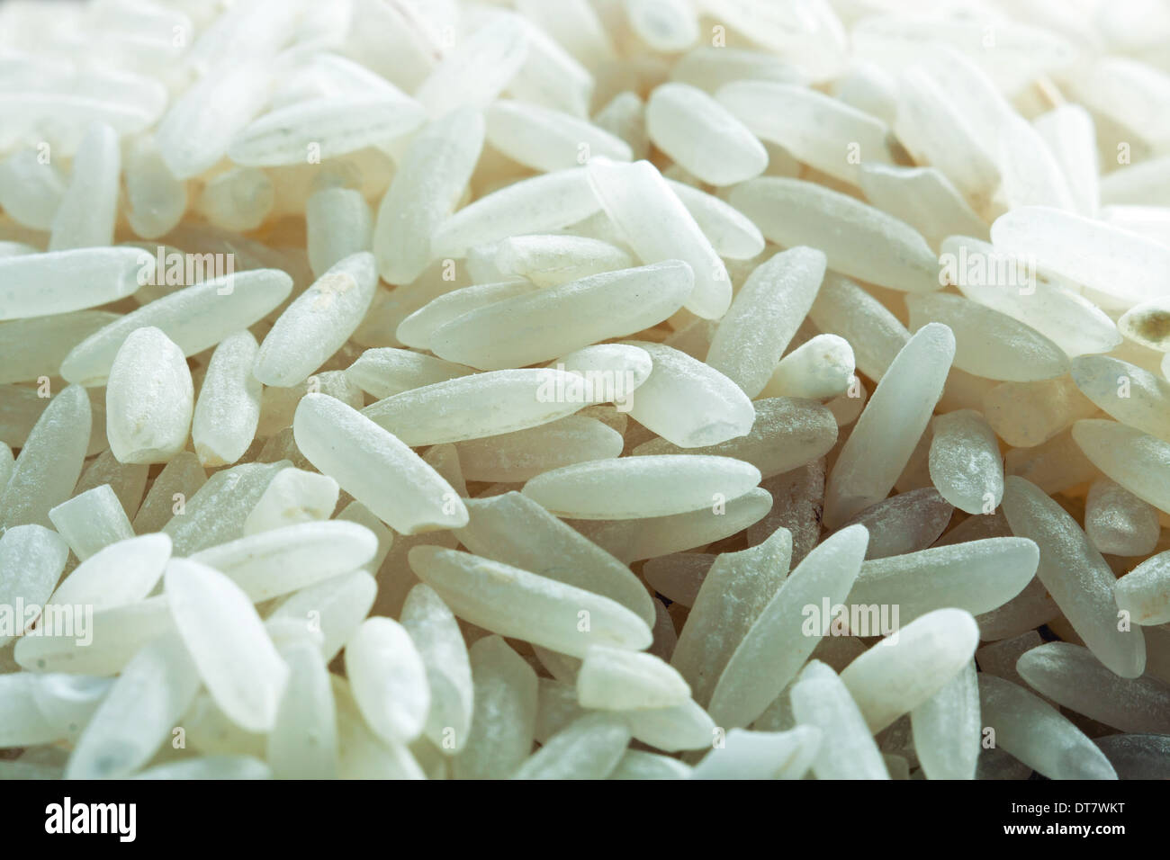 White uncooked rice- macro shot Stock Photo