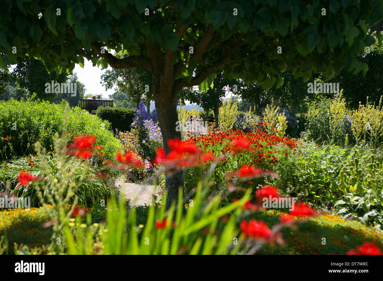 Couple on bench in richly planted hot colour scheme planting at Loseley Gardens, Surrey, UK Stock Photo