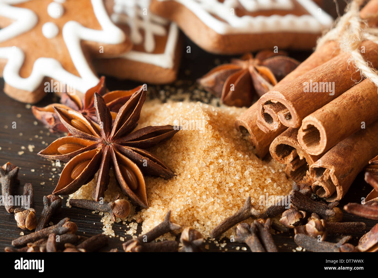 Various spices - anise, cinnamon, clove and cane sugar Stock Photo