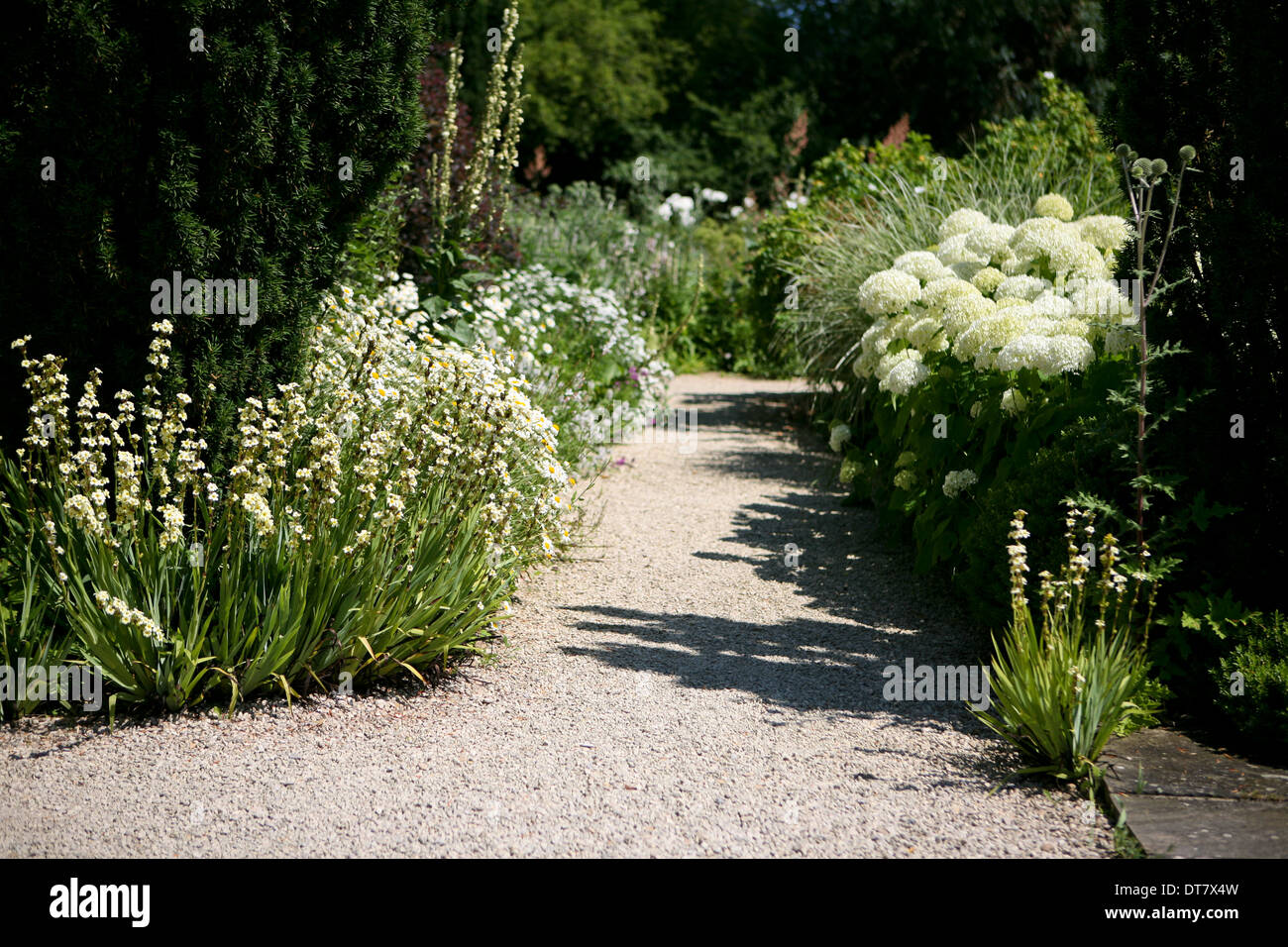 The White Garden, Loseley Gardens, Surrey, UK Stock Photo