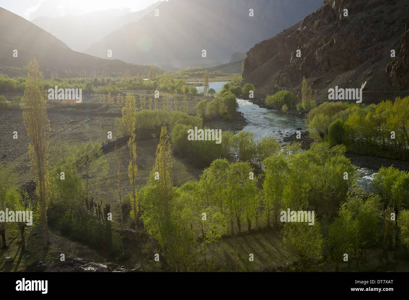 Backlit trees lining the floor of the Ghizar River (Gilgit River) Valley near Khonan Deh, seen from the Shandur-Gilgit Road, near the Shandur Pass, Gilgit-Baltistan, Pakistan Stock Photo