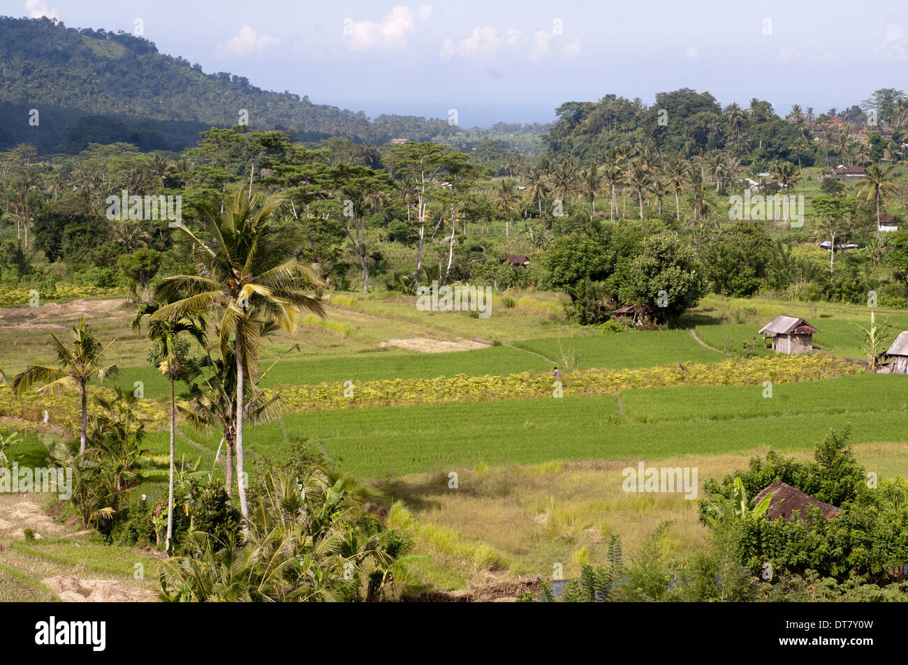 Surya shanti villa hi-res stock photography and images - Alamy