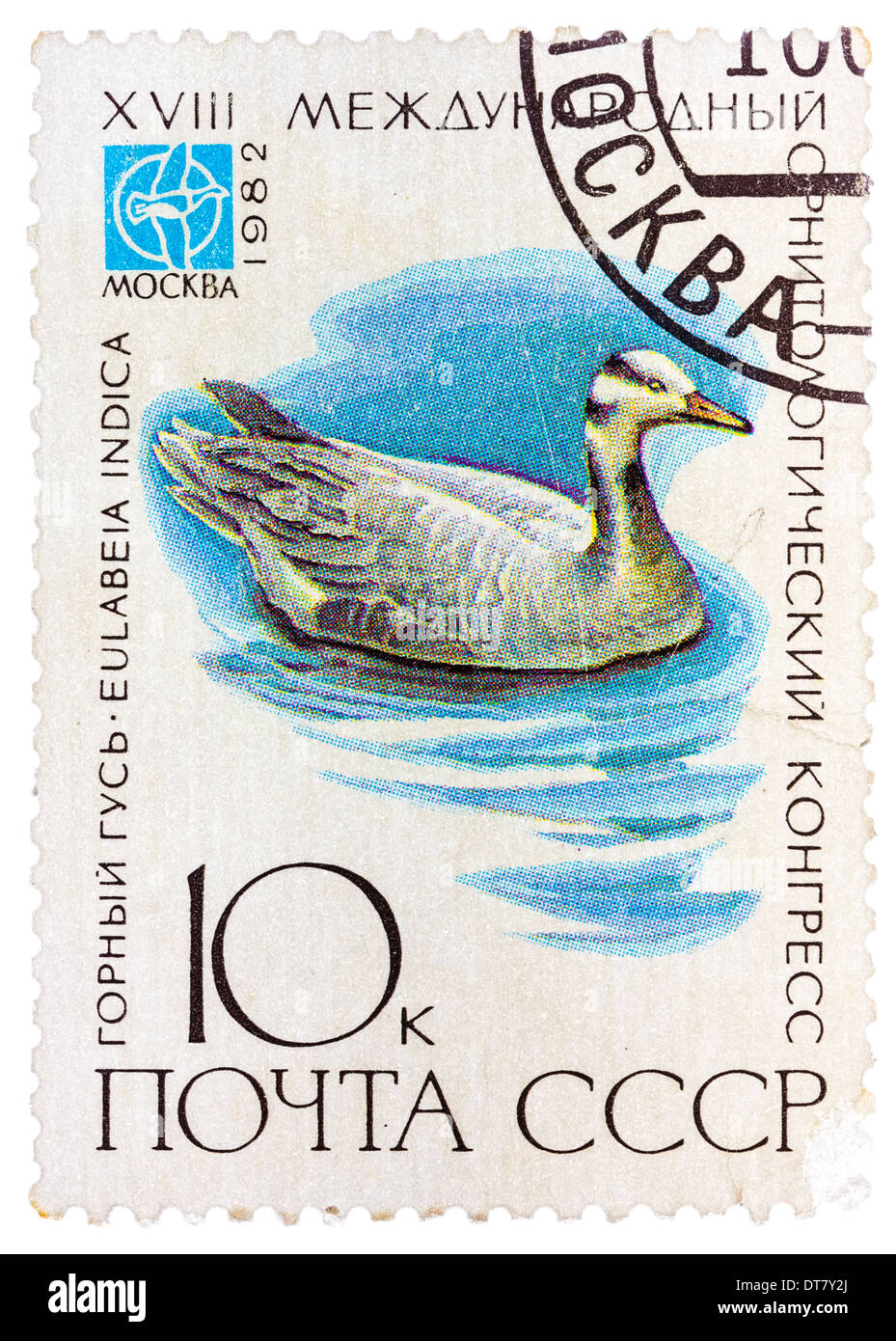 stamp printed in USSR (Russia) shows a bird Eulabeia indica Stock Photo